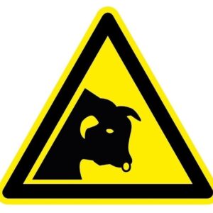 stier waarschuwingspictogram  - 200 mm breed - Sticker